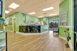 preschools daycare spring hill tn academy heritage commons